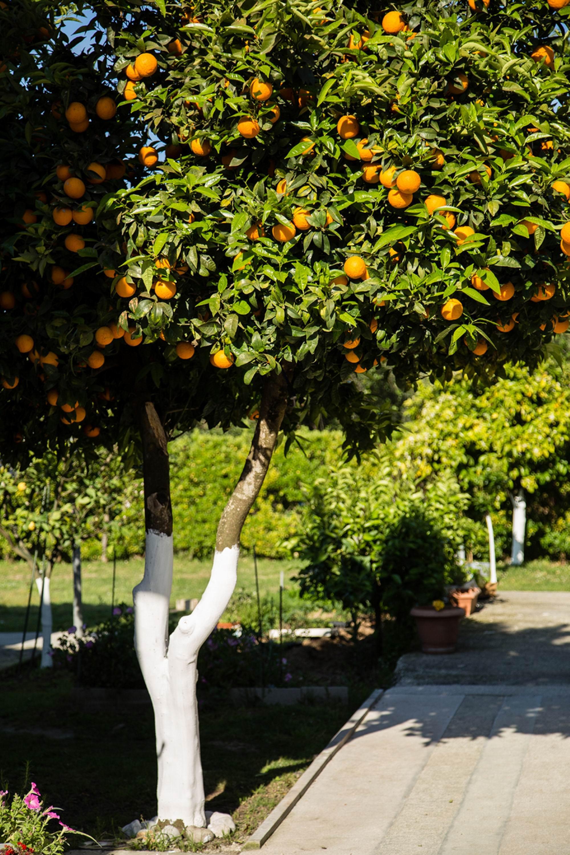 Paradise Village Roda  Bagian luar foto