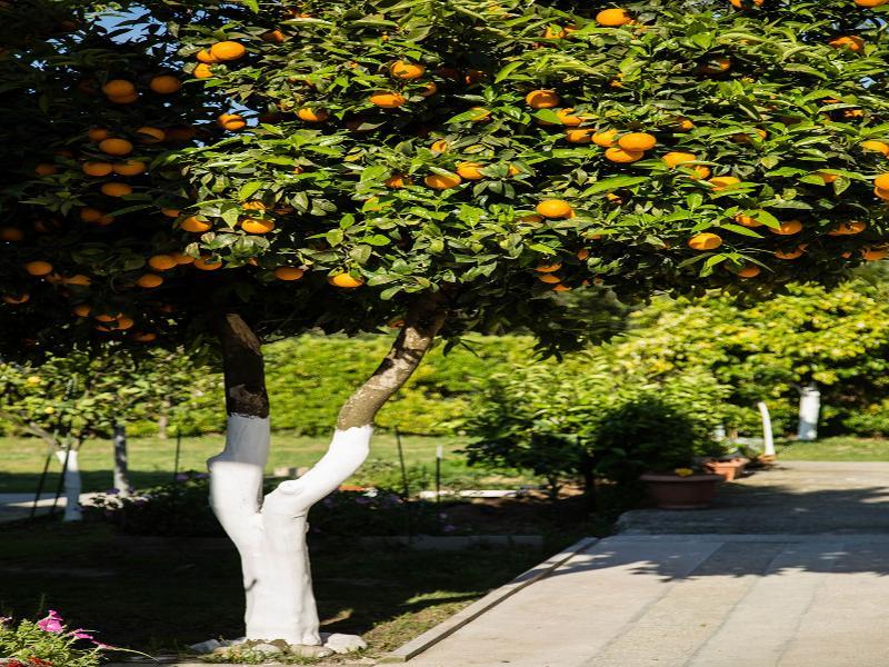 Paradise Village Roda  Bagian luar foto